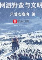 网游野蛮与文明txt下载